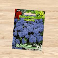 Image result for Leberbalsam