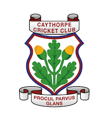 Image result for Notts Unity Casuals Cricket Club