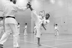 Image result for Aylesbury Vale Seido Karate