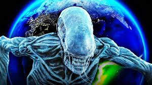 Image result for xenomorph