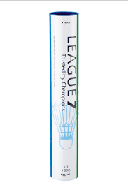 Image result for Clevedon Feathers Badminton Club