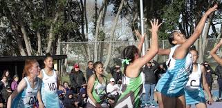 Image result for Epsom Oaks Netball Club