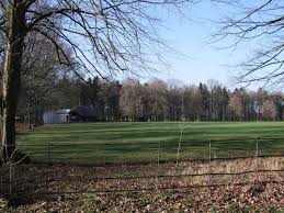 Image result for Buscot Park Cricket Club