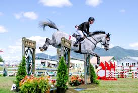 Image result for Lakes Riding Club