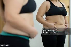 Image result for fat