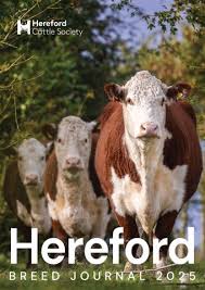 Image result for A J Activities, Herefordshire