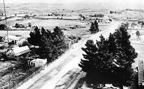 Image result for Doncaster Sambo