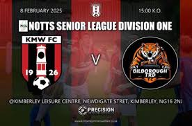 Image result for Newdigate F C