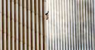 The Falling Man « Iconic Photos