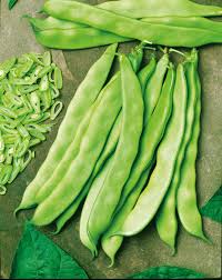 Image result for Buschbohnen