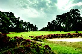 Image result for Hindhead Golf Club