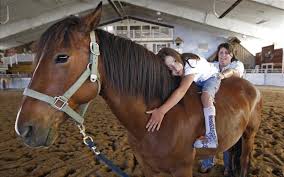 Image result for Buchan Group Riding For The Disabled