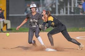 Image result for Lions Softball Club