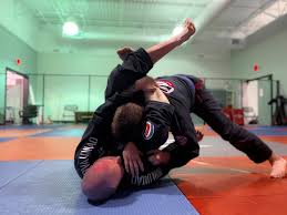 Image result for Walker's American Martial Arts