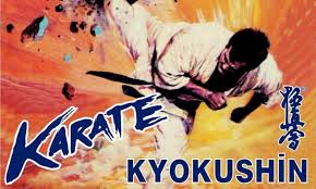 Image result for yonju dojo