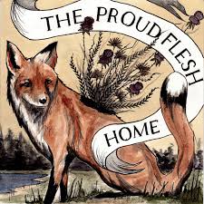 Image result for "proud flesh"