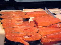 Image result for Salmo zrmanjaensis