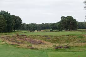 Image result for Walton Heath Golf Club