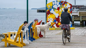 Image result for Halifax Asc