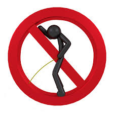 Image result for bilder