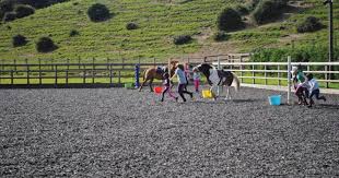 Image result for Bookham Riding School