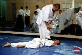Image result for Aikido - Takama Hara Aikido Dojo