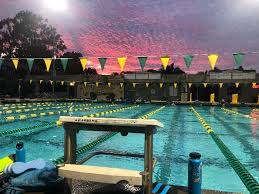 Image result for Hazel Grove & Bramhall Swimming Club