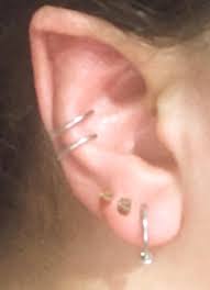 Image result for ear mod