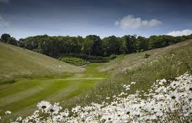 Image result for Royston Golf Club Ltd