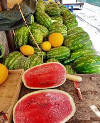 Image result for Melone