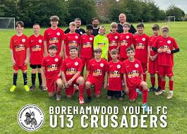 Image result for Borehamwood Crusaders