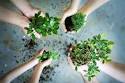 Articulate - Word of Mouth Blog - 14 Community Resources to Help ...