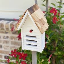 Image result for ladybug house