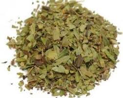 Attēlu rezultāti vaicājumam “Arctostaphylos uva-ursi leaf”