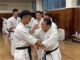 Image result for Junsui Shotokan Karate Do