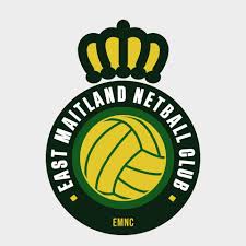 Image result for Engineering Services Netball Club