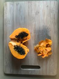 Image result for Carica papaya