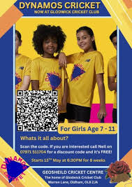 Image result for Glodwick Cricket Club