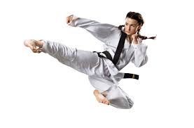 Image result for Everitt Karate Academy