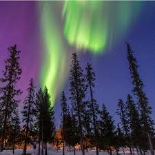 Image result for Northern