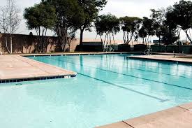 Image result for Grimsby Penguins Swimming Club