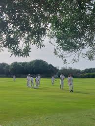 Image result for Southwick Wanderers