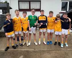 Image result for Drumgath Gaelic Football Club
