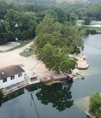 Image result for Ledbury & District Amateur Swimming Club