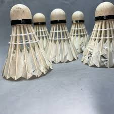 Image result for Feathers Badminton- Leatherhead