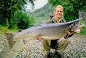 Atlantic Salmon