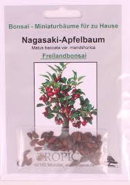 Attēlu rezultāti vaicājumam “Malus mandshurica fruit”