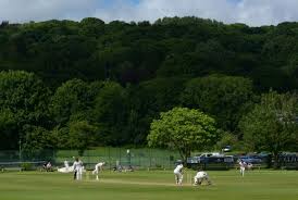 Image result for Saltaire Cricket Club