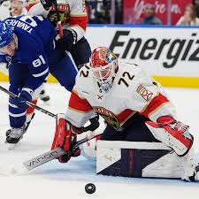 Image result for Pentland Panthers