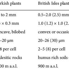 Attēlu rezultāti vaicājumam “Leiocolea heterocolpos”